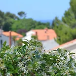 Zomzi Apartament