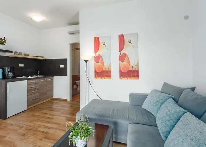 Apartment Zomzi *