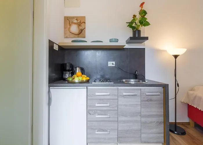 Apartment Zomzi